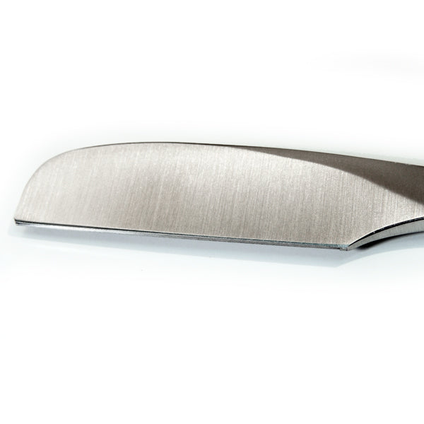 Feather Artist Club Razor DX Wood Handle 